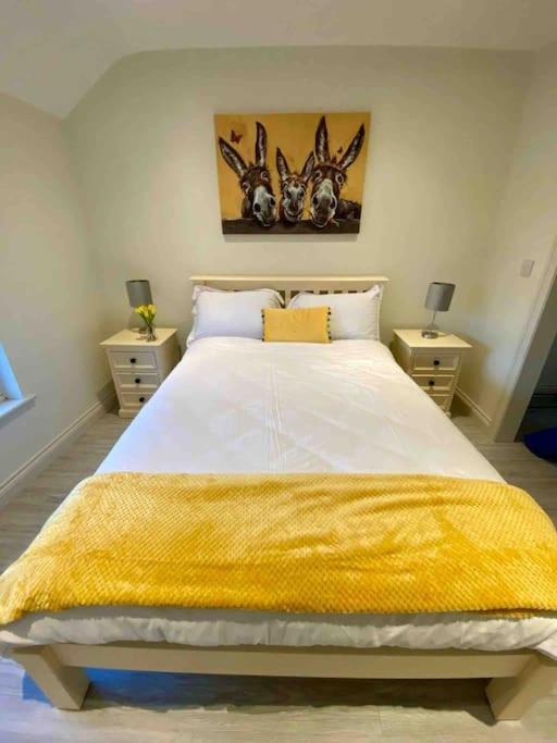 Modern Family Home Castleisland Bagian luar foto