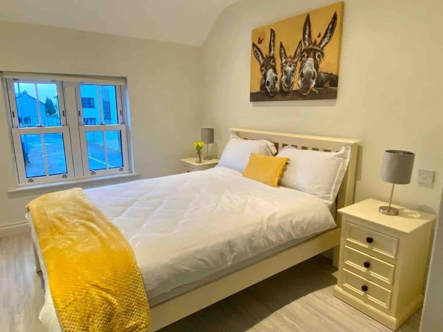 Modern Family Home Castleisland Bagian luar foto